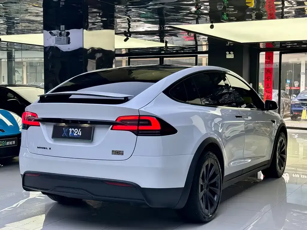 Tesla Model X — фото 10