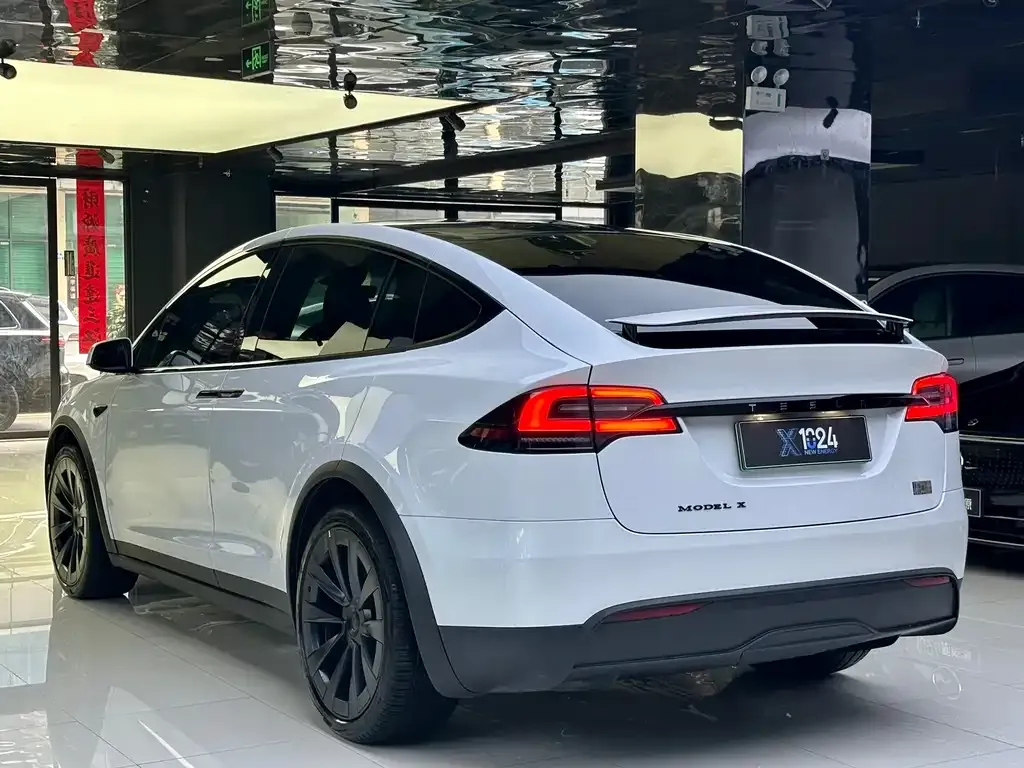 Tesla Model X — фото 6