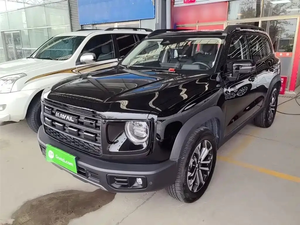 Haval Big Dog — фото 10