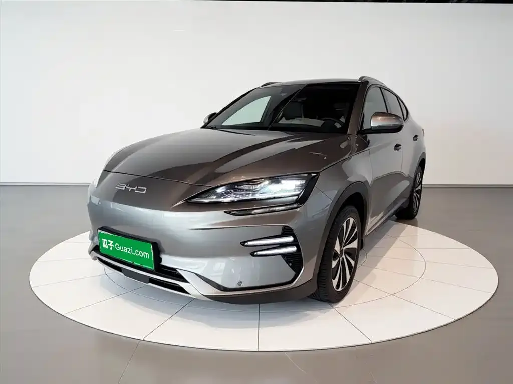 BYD PLUS New Energy — фото 1