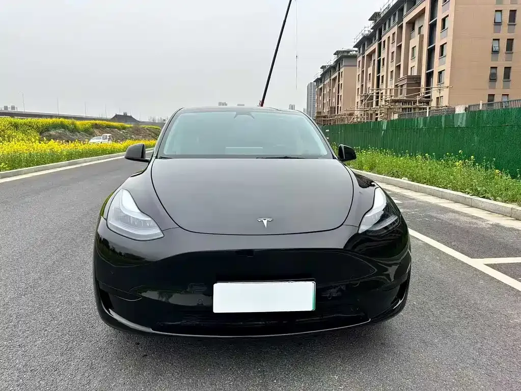 Tesla Model Y — фото 5
