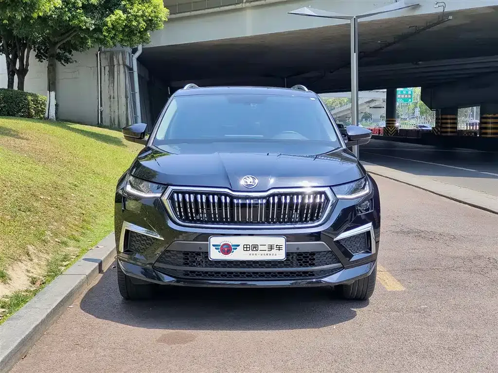 Skoda Kodiaq — фото 4