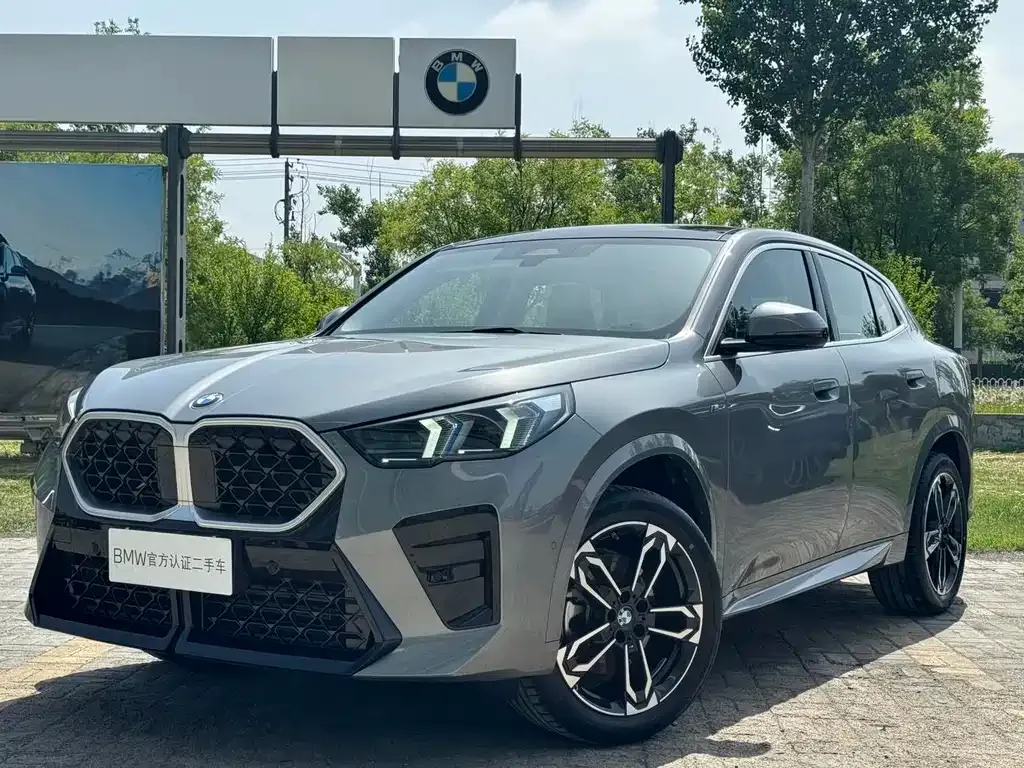 BMW X2 (Import) — фото 1