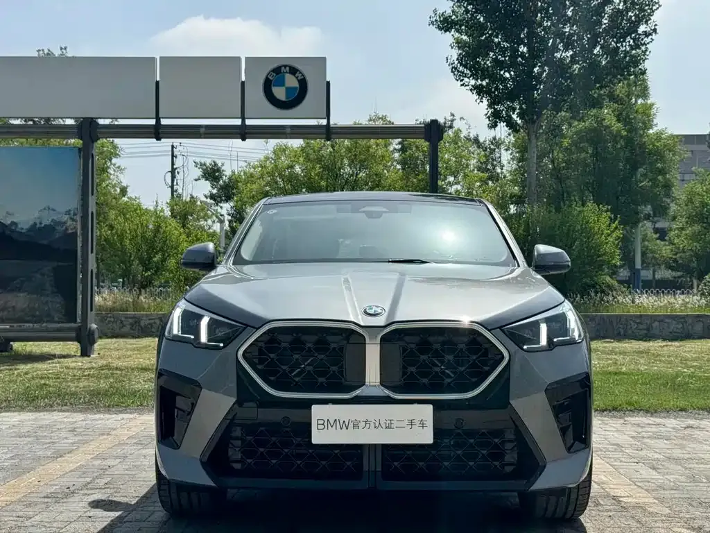 BMW X2 (Import) — фото 6