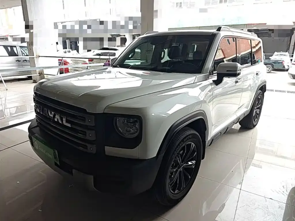 Haval Menglong New Energy — фото 1