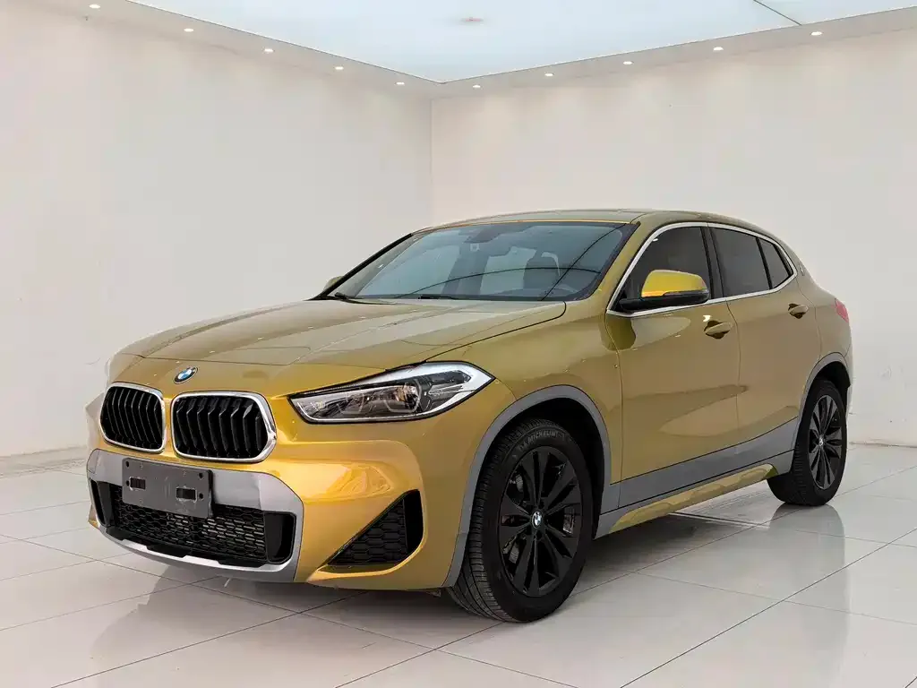 BMW X2 — фото 1