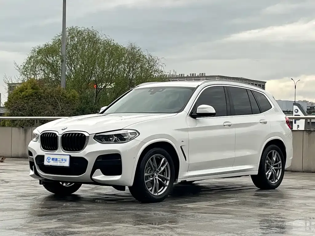 BMW X3 — фото 1