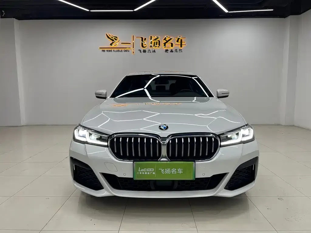 BMW 5 Series New Energy — фото 2