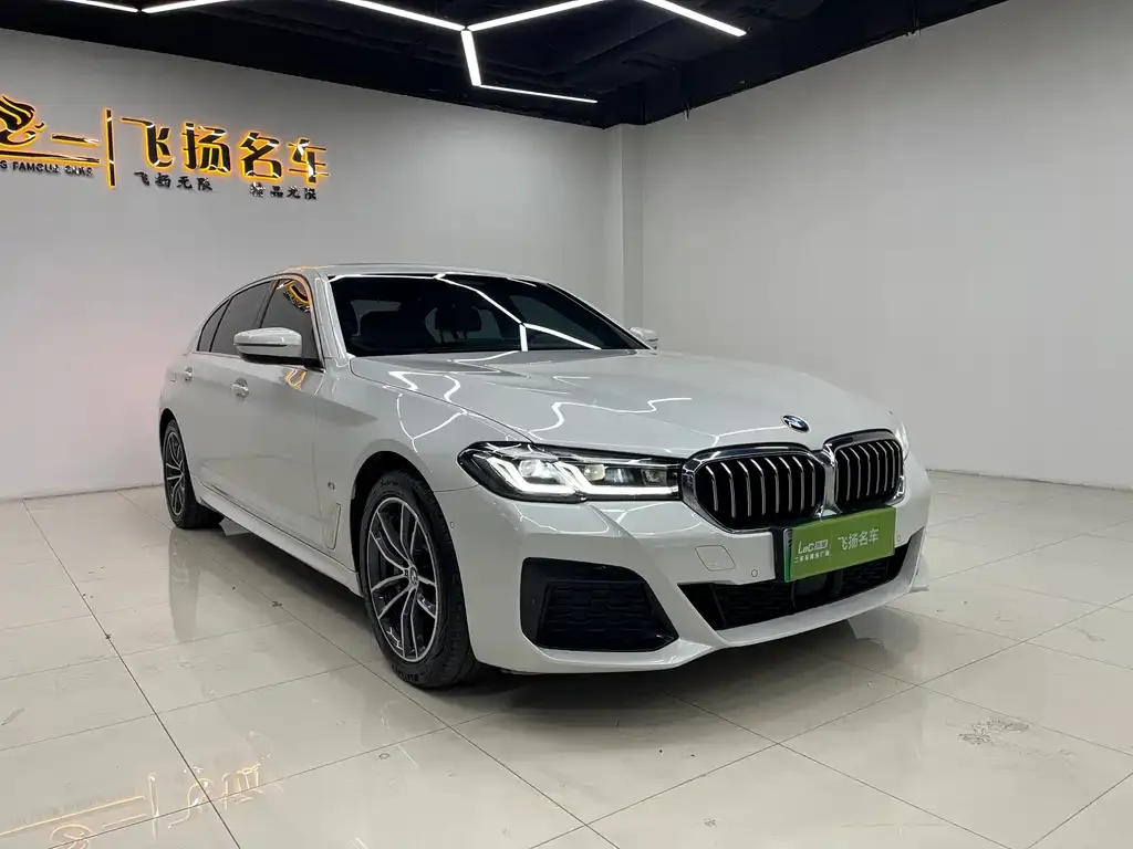 BMW 5 Series New Energy — фото 6