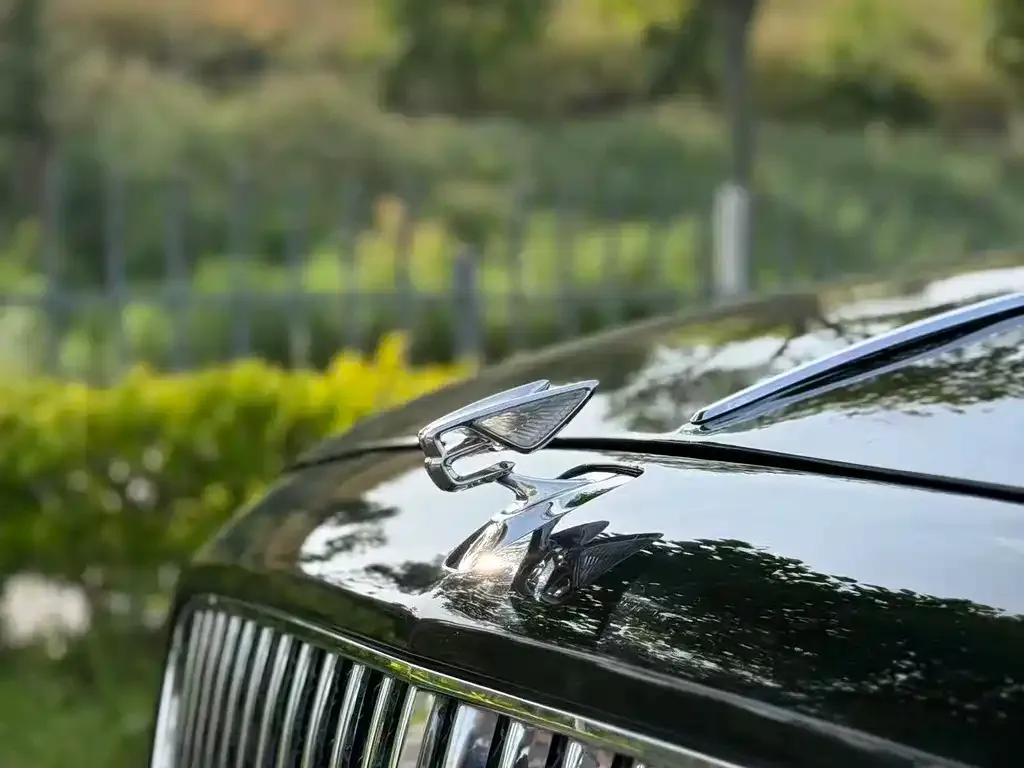 Bentley Flying Spur — фото 3