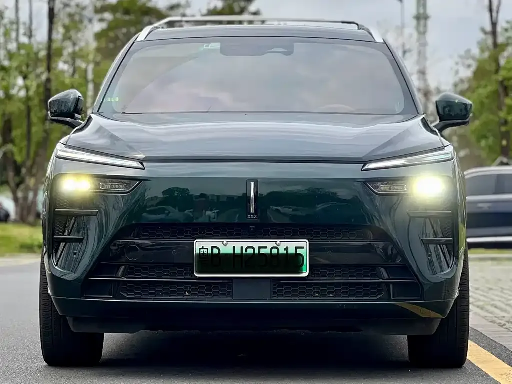 Wey Lanshan — фото 6