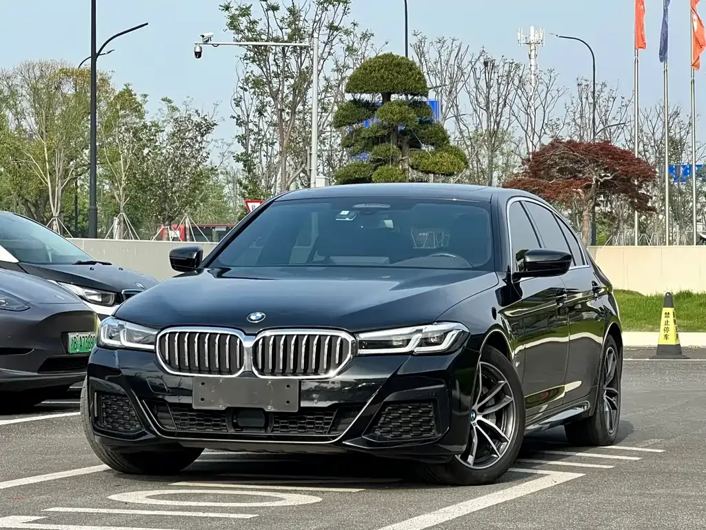 BMW 5 Series New Energy — фото 1