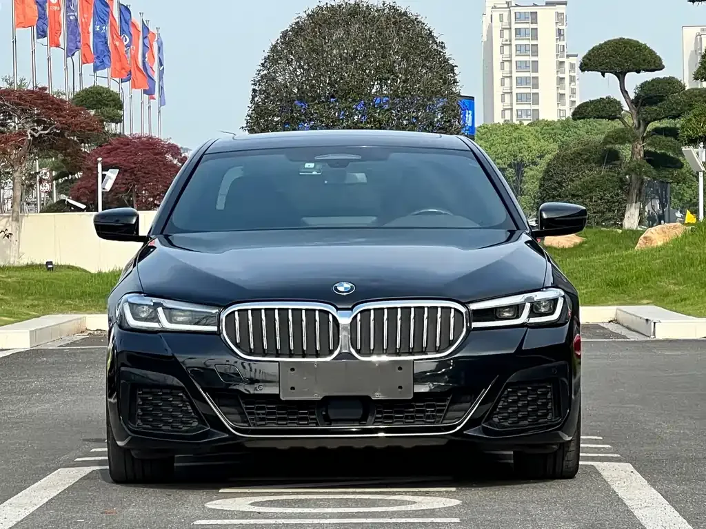 BMW 5 Series New Energy — фото 7