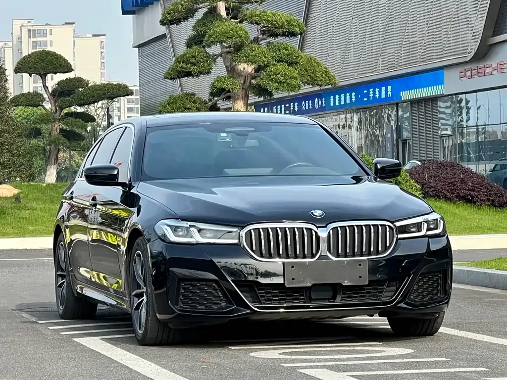 BMW 5 Series New Energy — фото 8