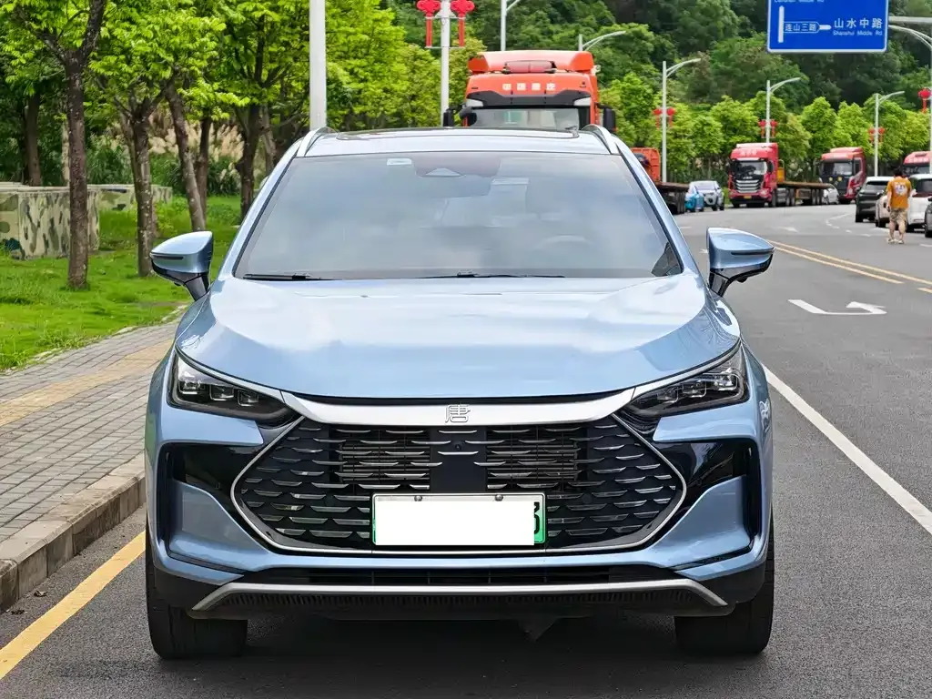 BYD Tang New Energy — фото 2