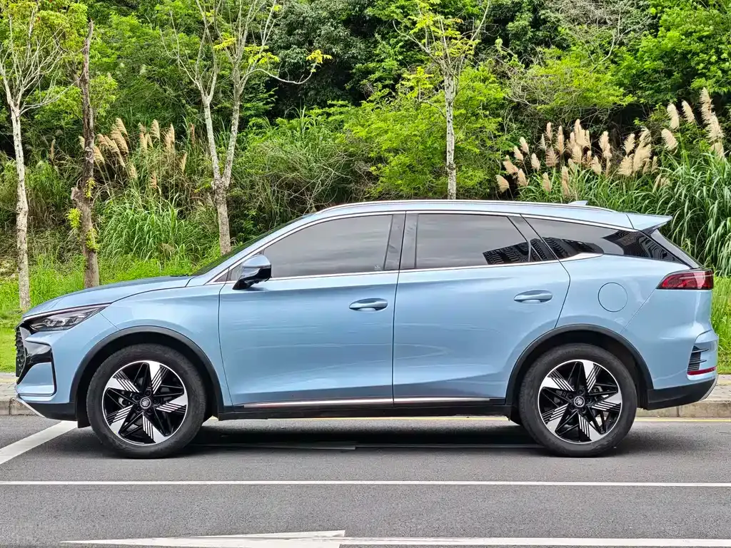 BYD Tang New Energy — фото 10