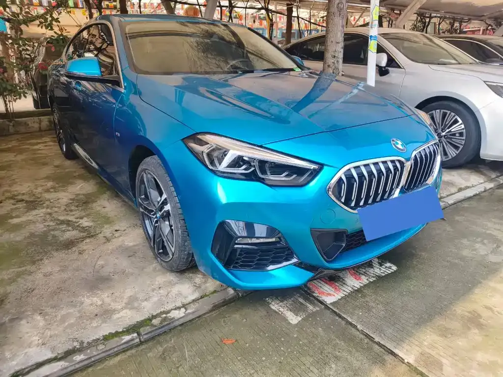 BMW 2 Series (Import) — фото 1