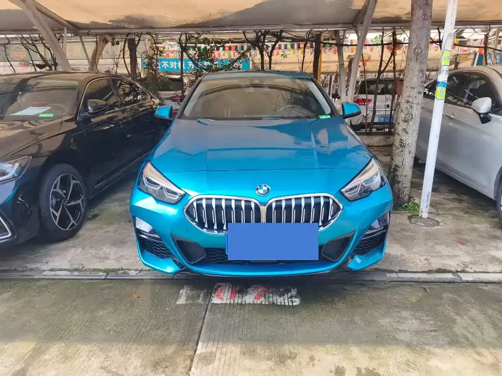 BMW 2 Series (Import) — фото 8