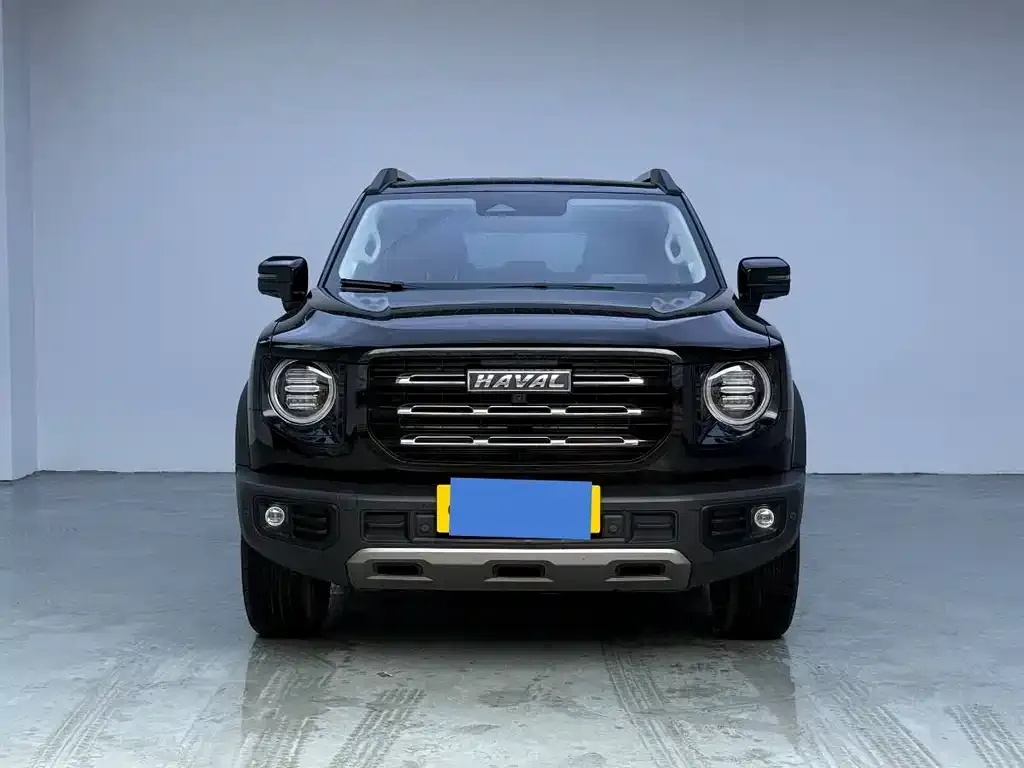 Haval Big Dog — фото 10