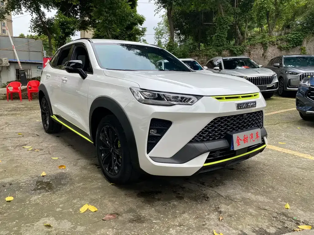 Haval H6S — фото 5