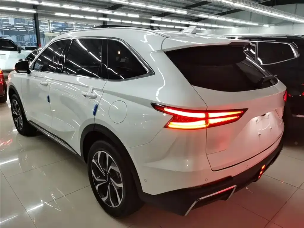 Haval Xiaolong MAX — фото 10