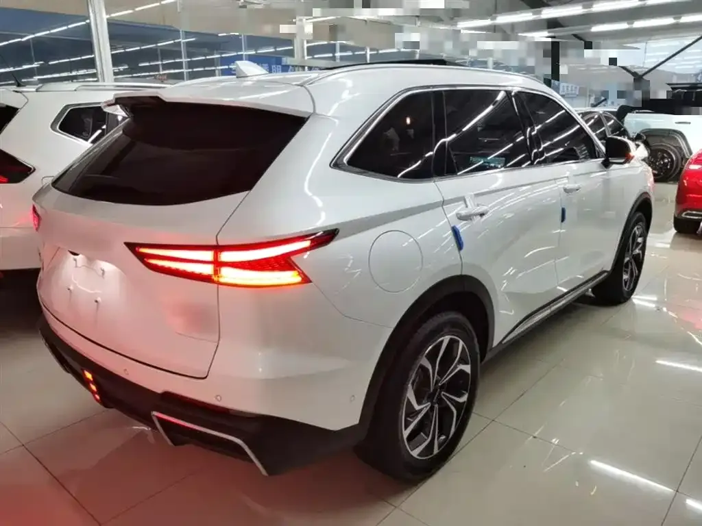 Haval Xiaolong MAX — фото 8