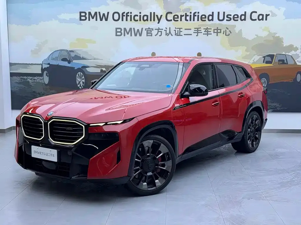 BMW XM — фото 9
