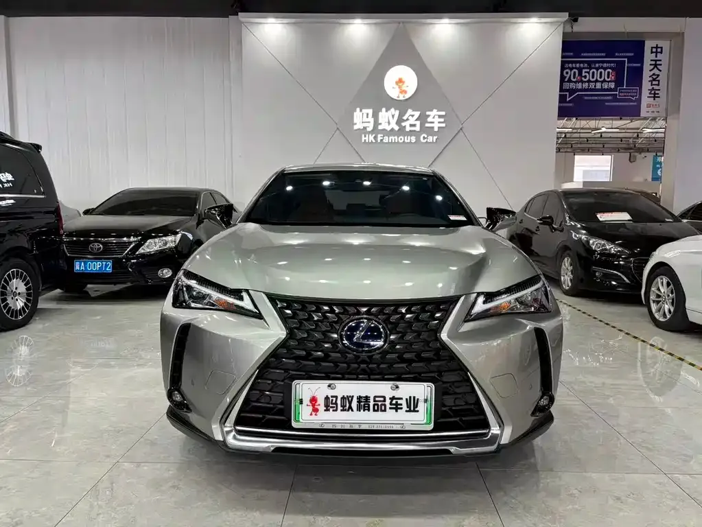 Lexus UX New Energy — фото 10