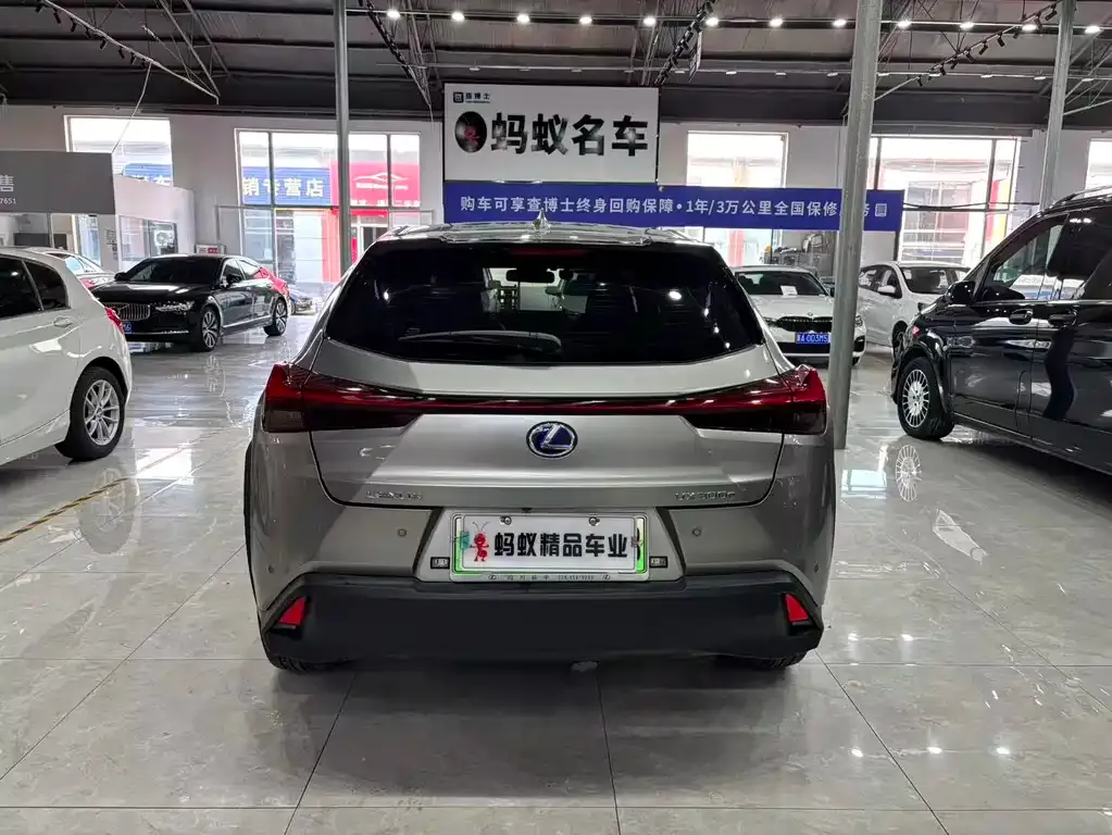 Lexus UX New Energy — фото 8
