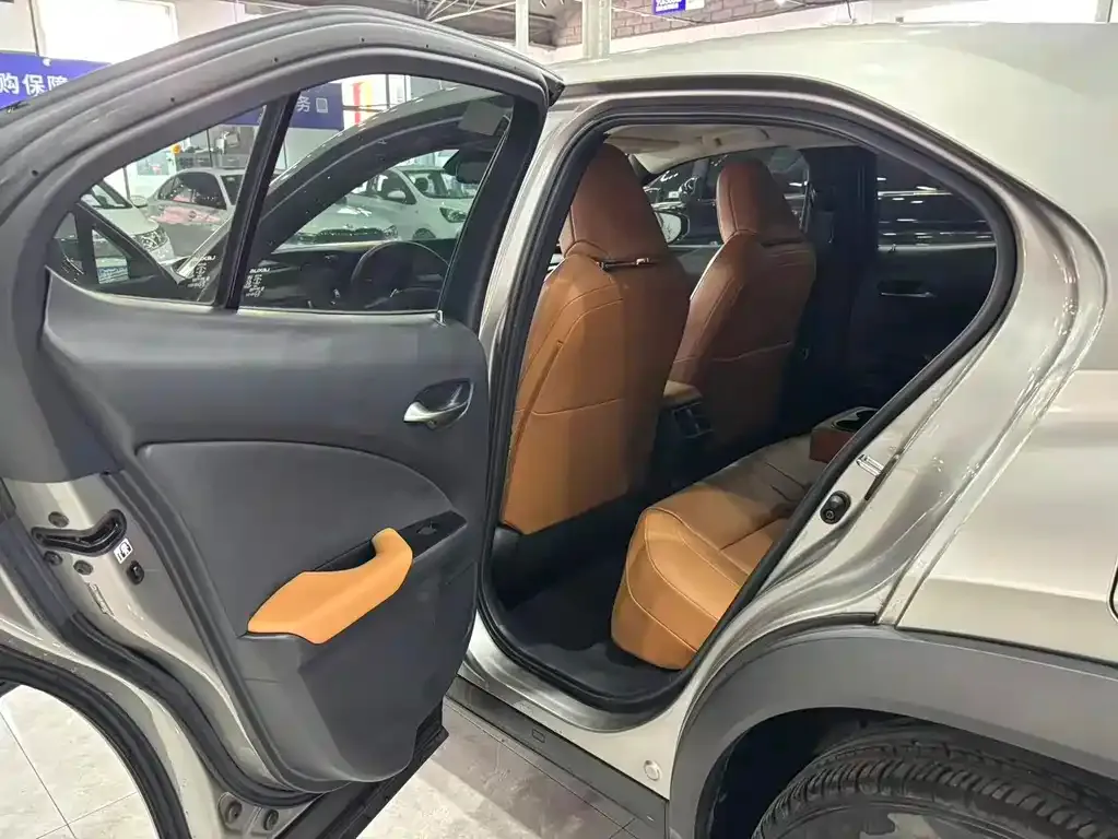 Lexus UX New Energy — фото 5