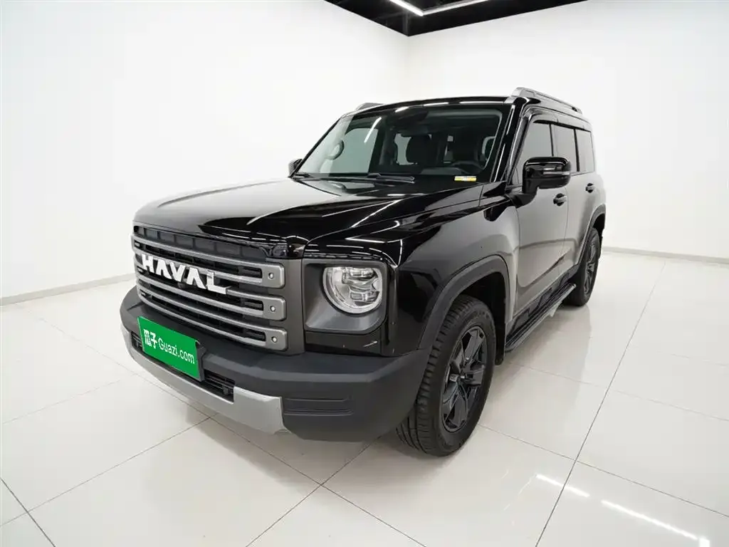 Haval Menglong New Energy — фото 1