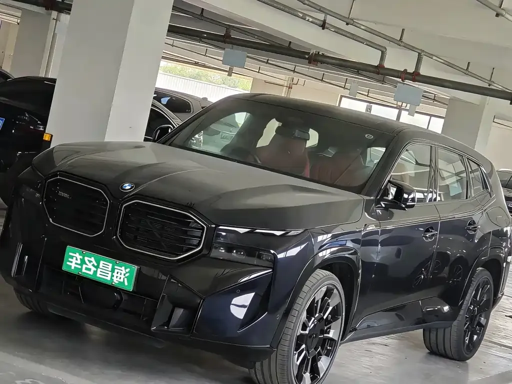 BMW XM — фото 6