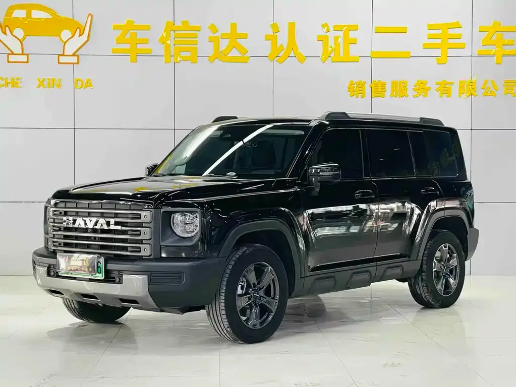 Haval Menglong New Energy — фото 1