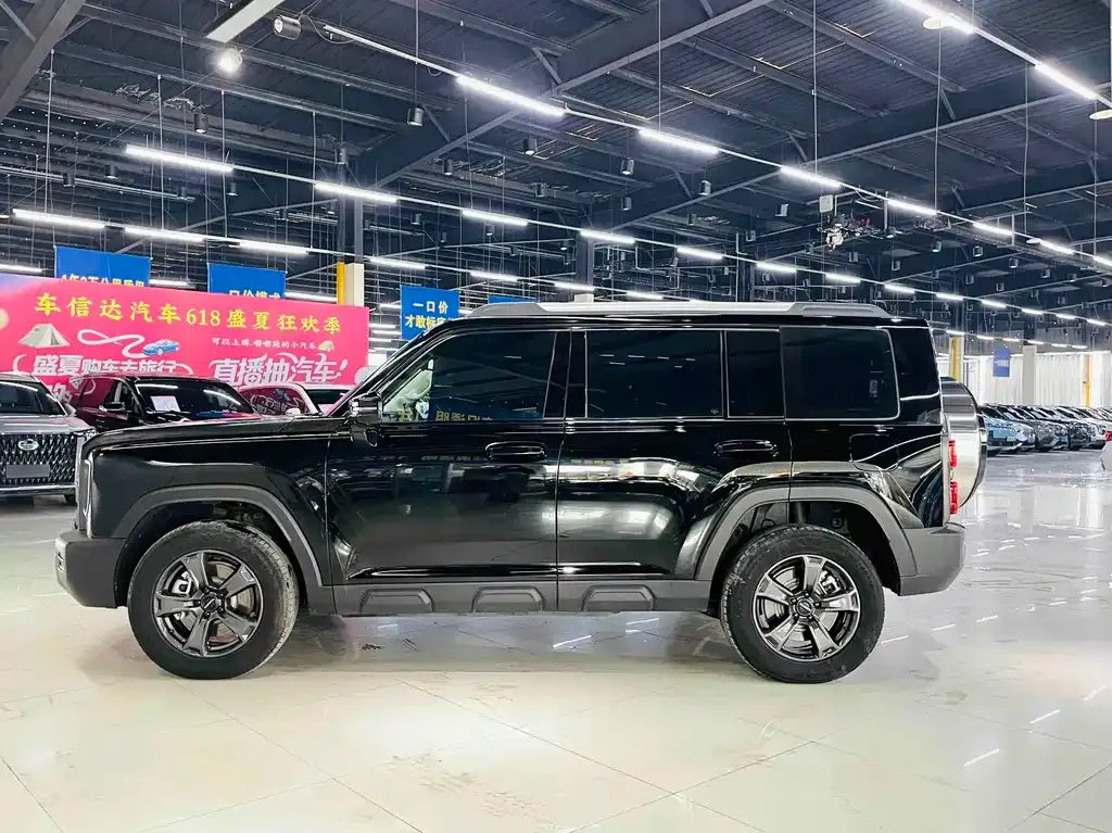 Haval Menglong New Energy — фото 10