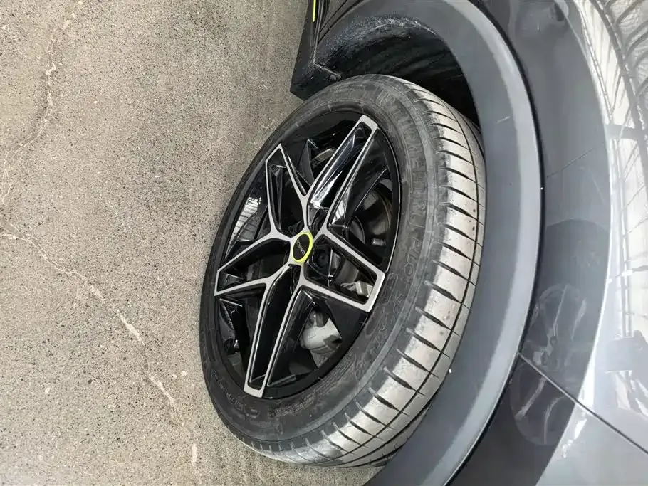 Roewe RX5 New Energy — фото 10