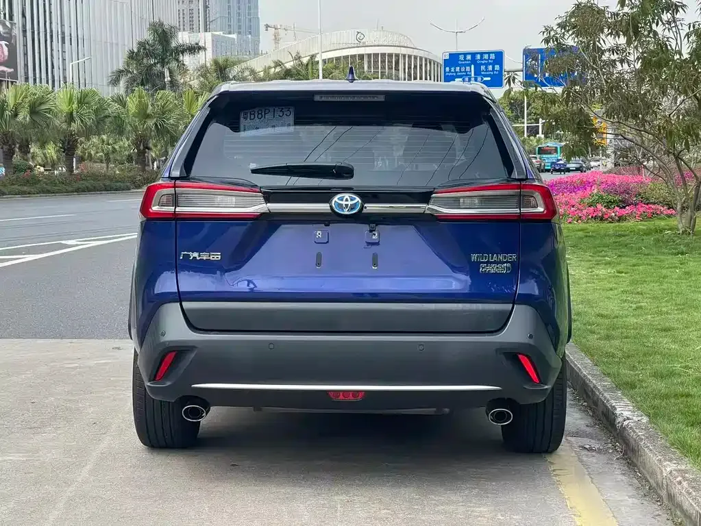 Toyota Wildlander New Energy — фото 4