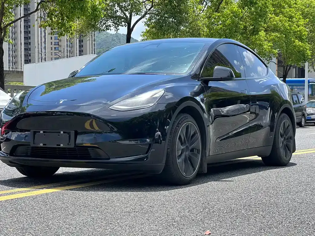 Tesla Model Y — фото 1
