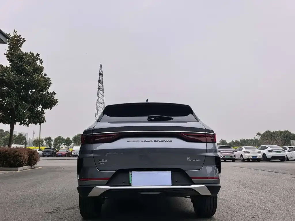 BYD PLUS New Energy — фото 6