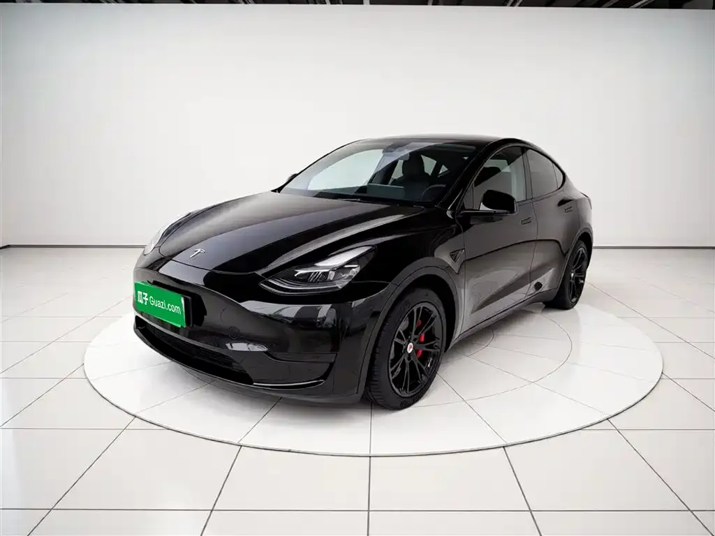 Tesla Model Y — фото 1