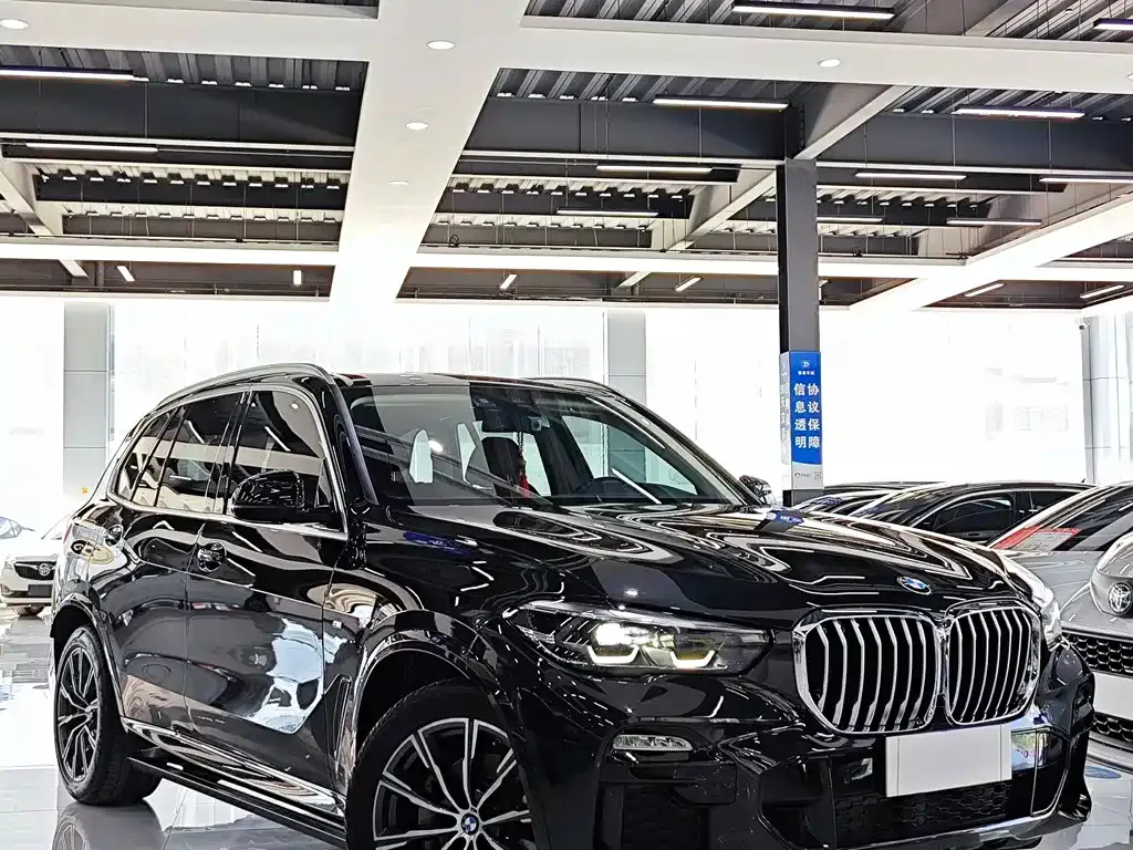 BMW X5 (Import) — фото 6