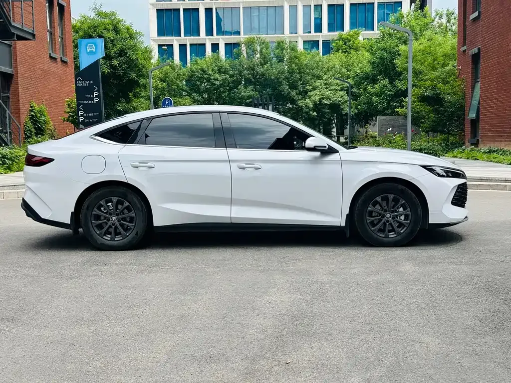 BYD Qin L — фото 2