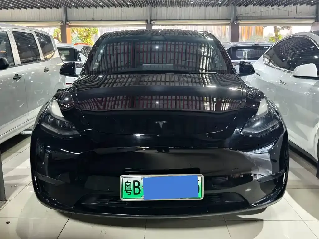 Tesla Model Y — фото 2