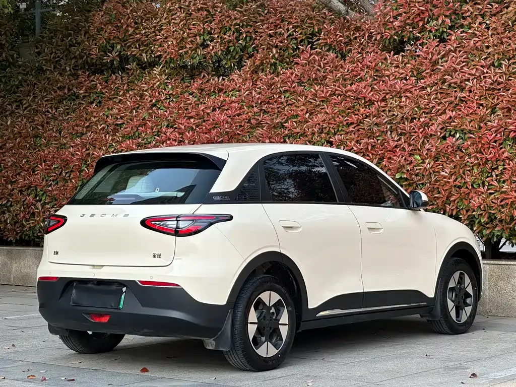Geely Starburst — фото 10