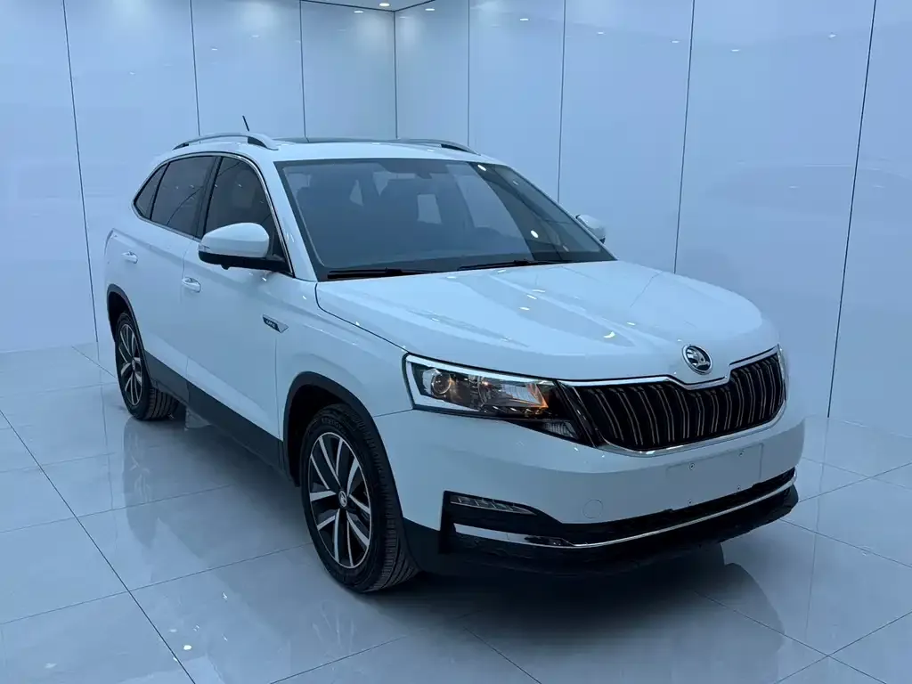 Skoda Kamiq — фото 4