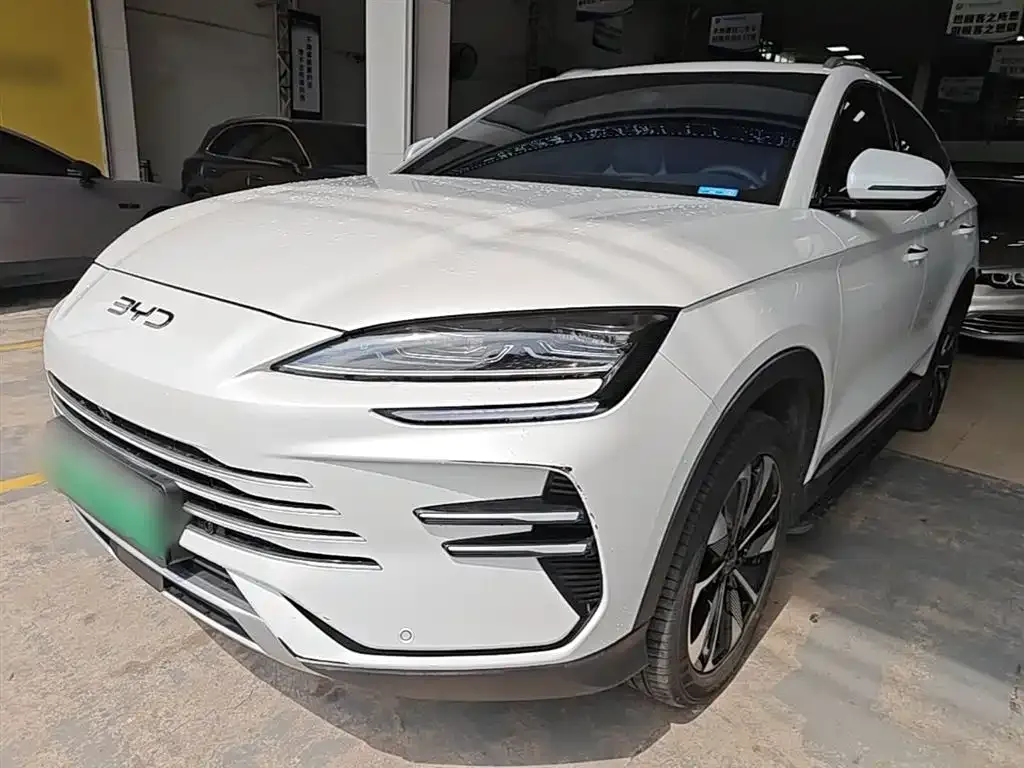 BYD PLUS New Energy — фото 6