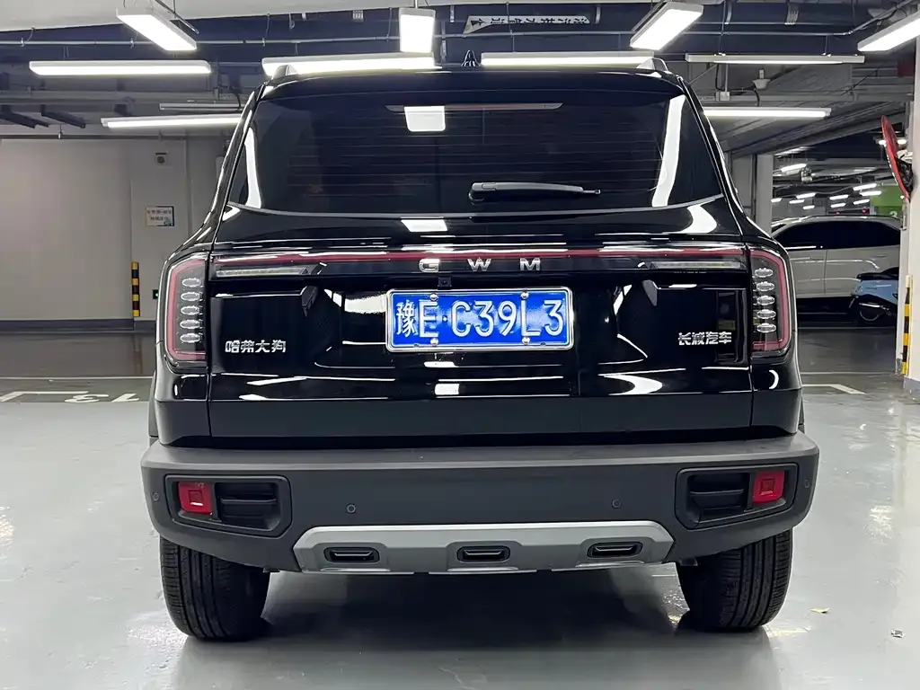 Haval Big Dog — фото 4