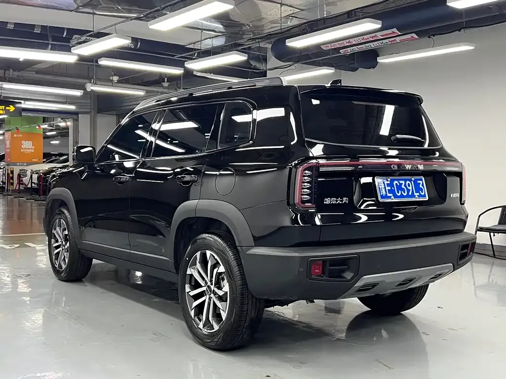 Haval Big Dog — фото 9