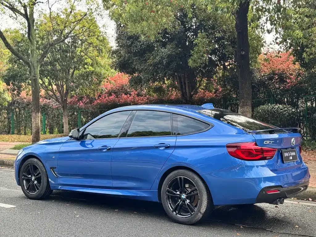 BMW 3 Series GT — фото 9
