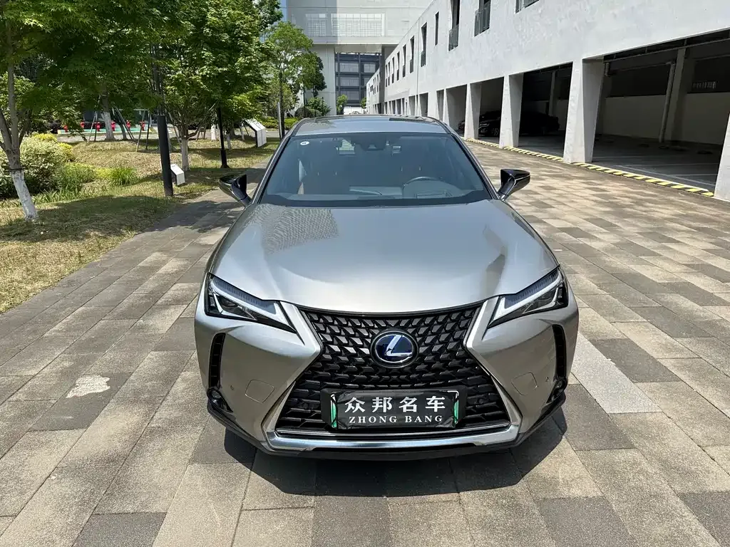 Lexus UX New Energy — фото 3