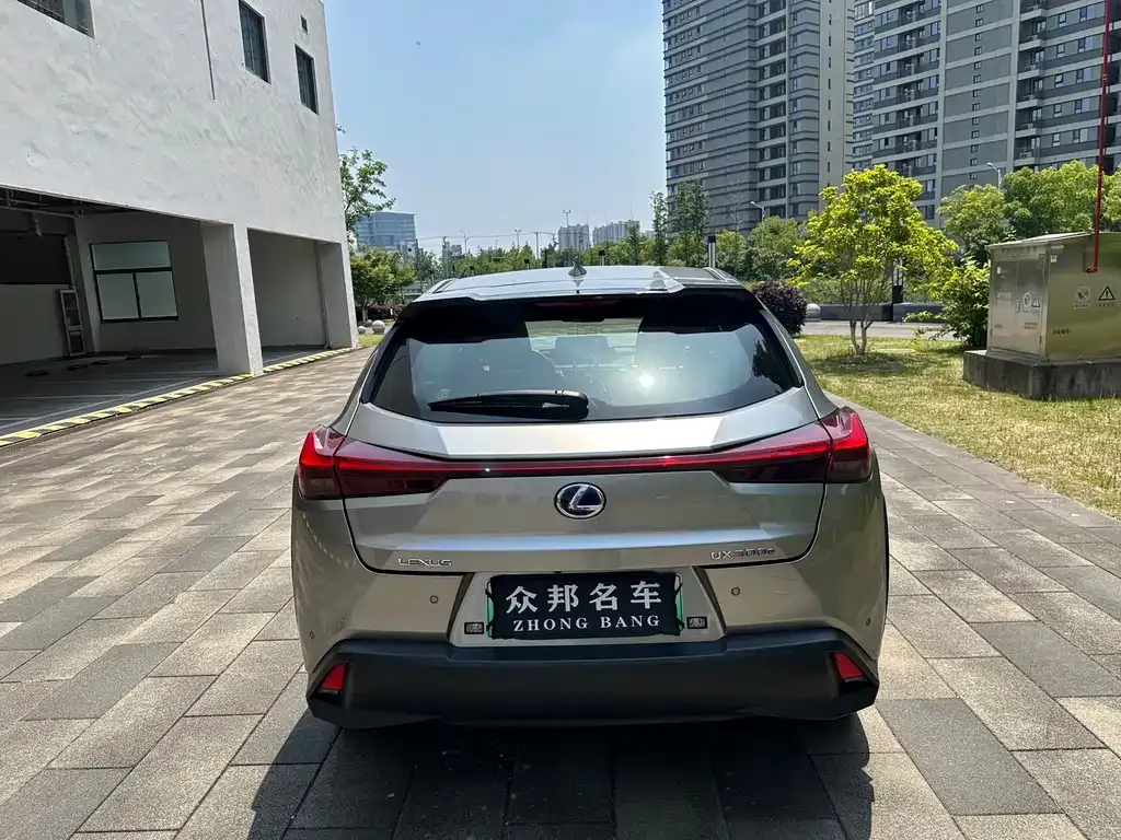 Lexus UX New Energy — фото 4